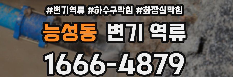 능성동 변기 역류