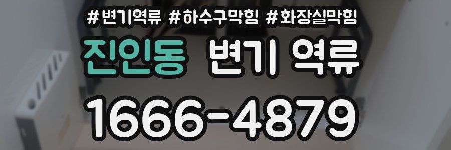 진인동 변기 역류