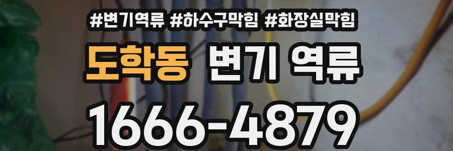 도학동 변기 역류