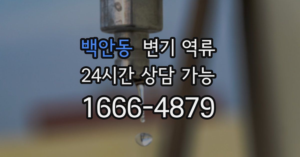 백안동 변기 역류