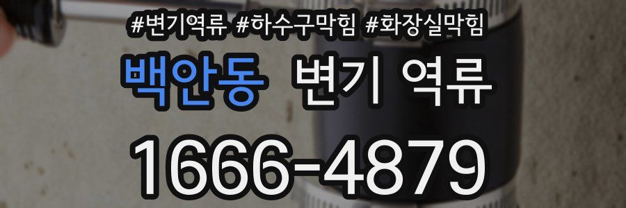 백안동 변기 역류