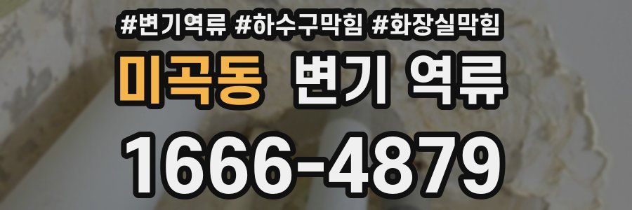 미곡동 변기 역류