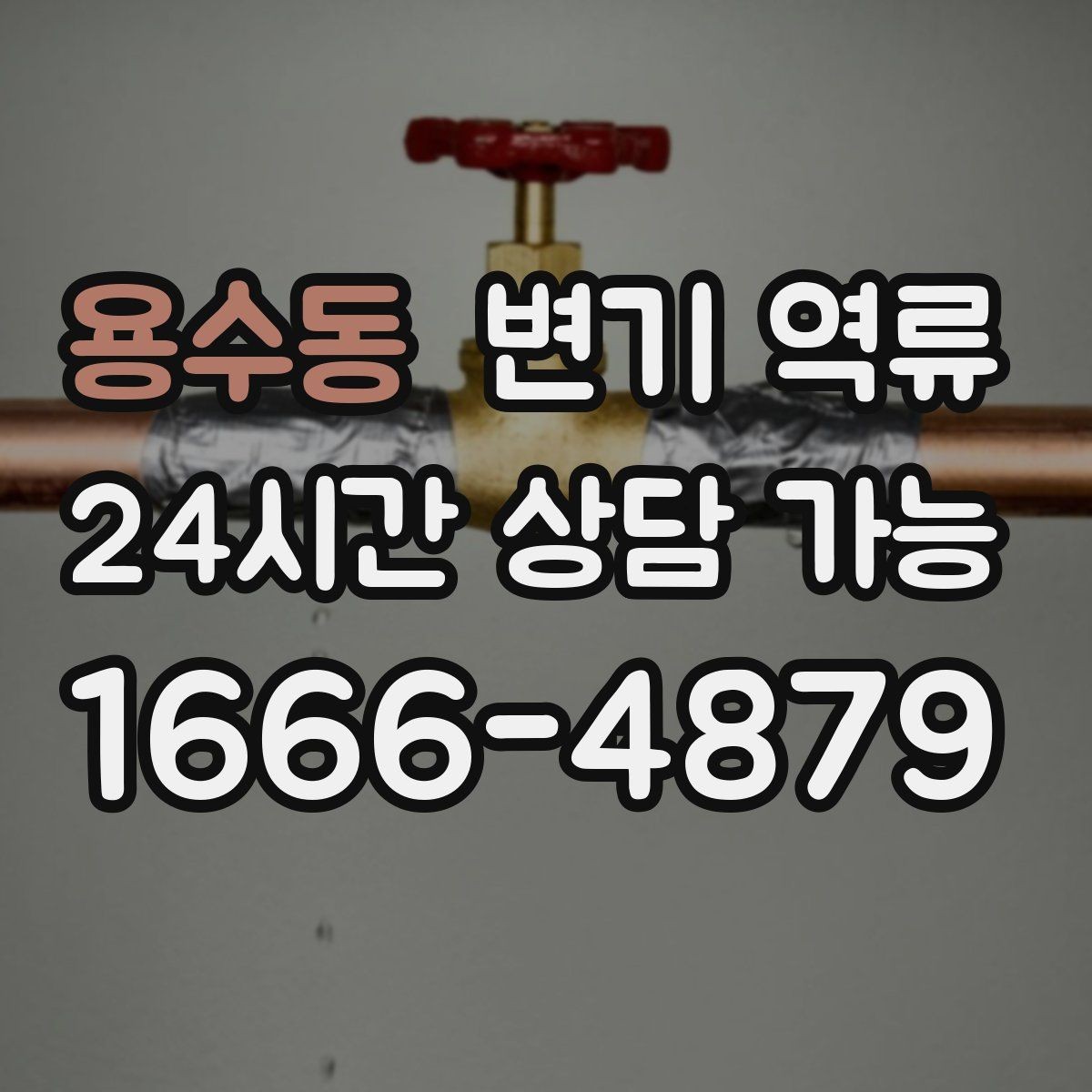 용수동 변기 역류 재발 가능성이 높은 집의 공통점