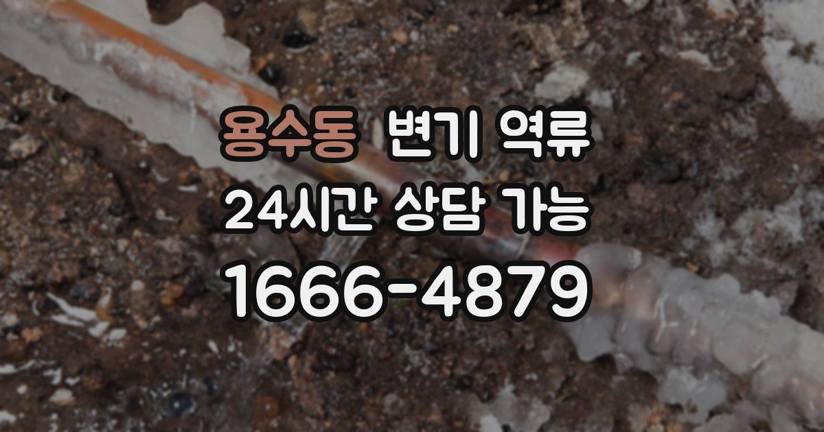 용수동 변기 역류