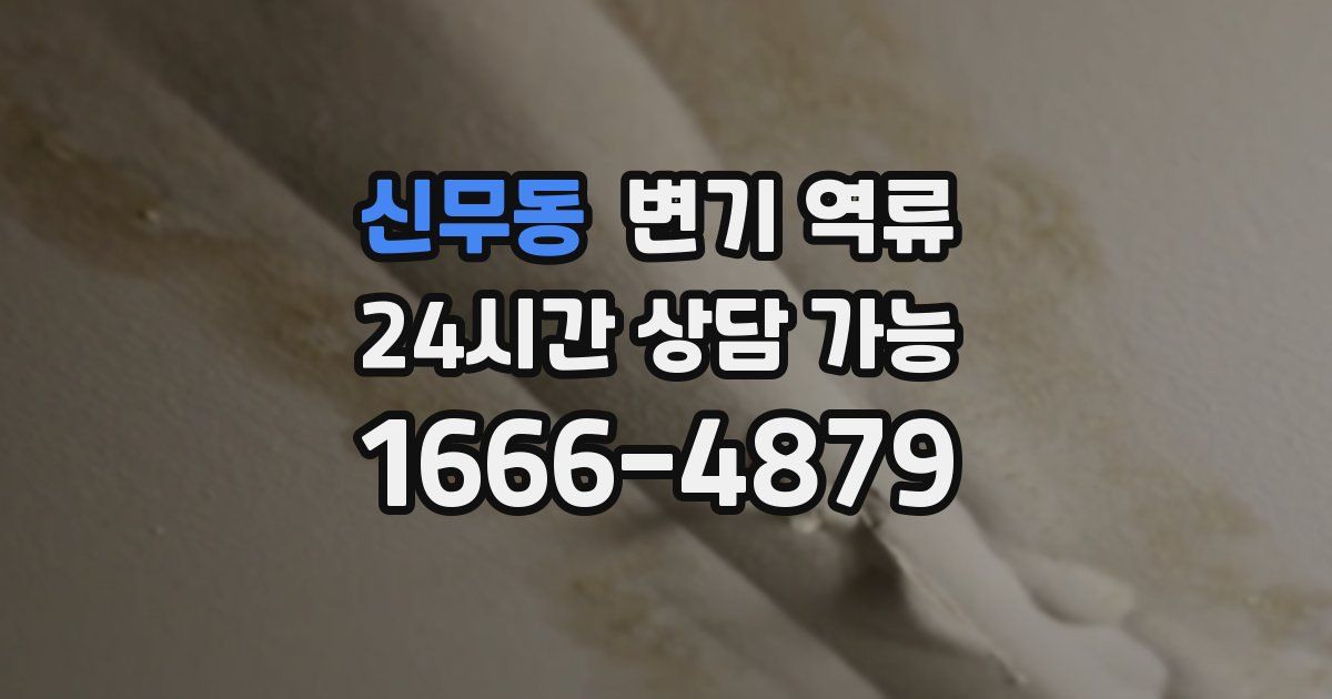 신무동 변기 역류