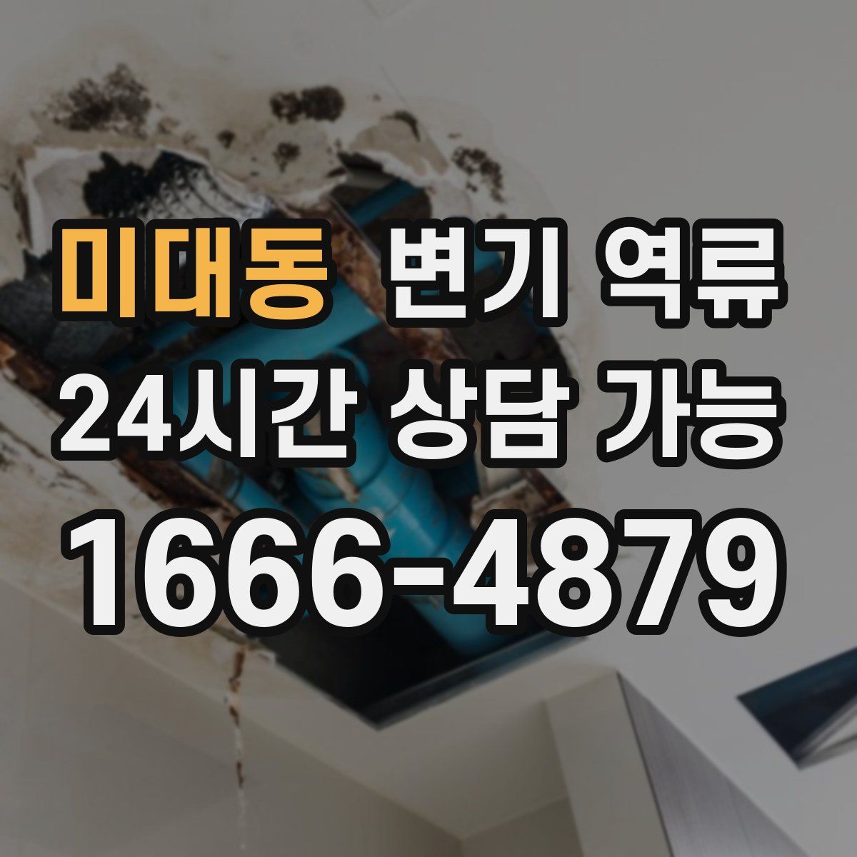 미대동 변기 역류