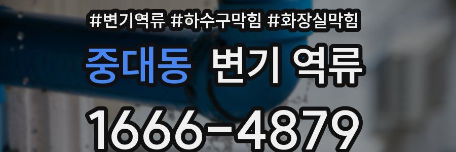 중대동 변기 역류