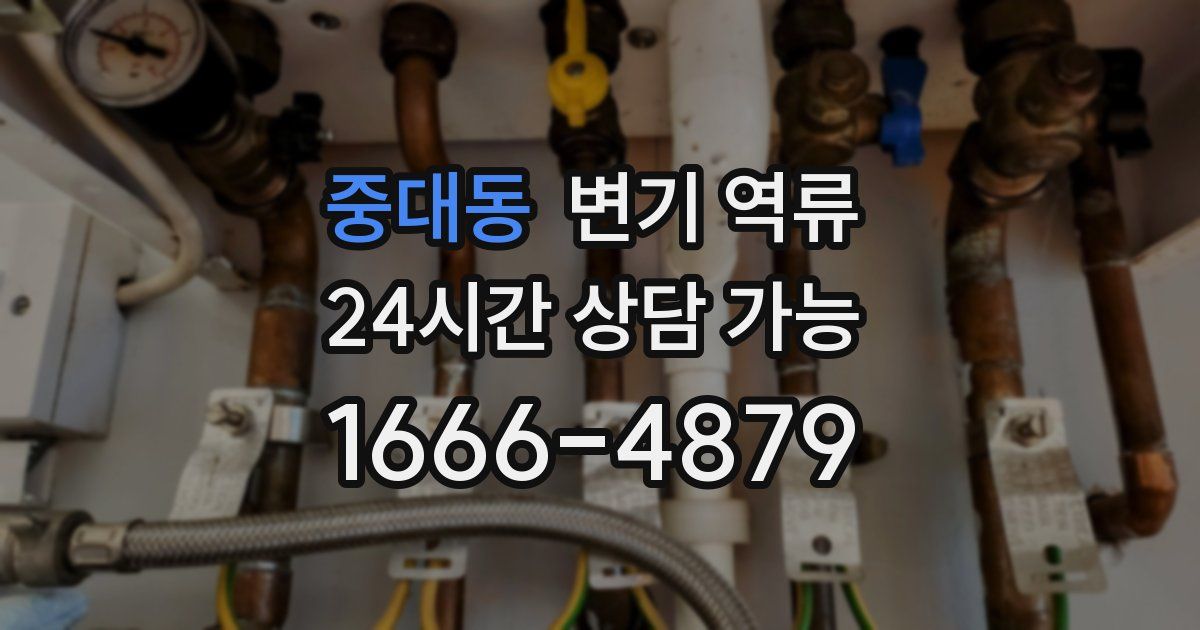 중대동 변기 역류