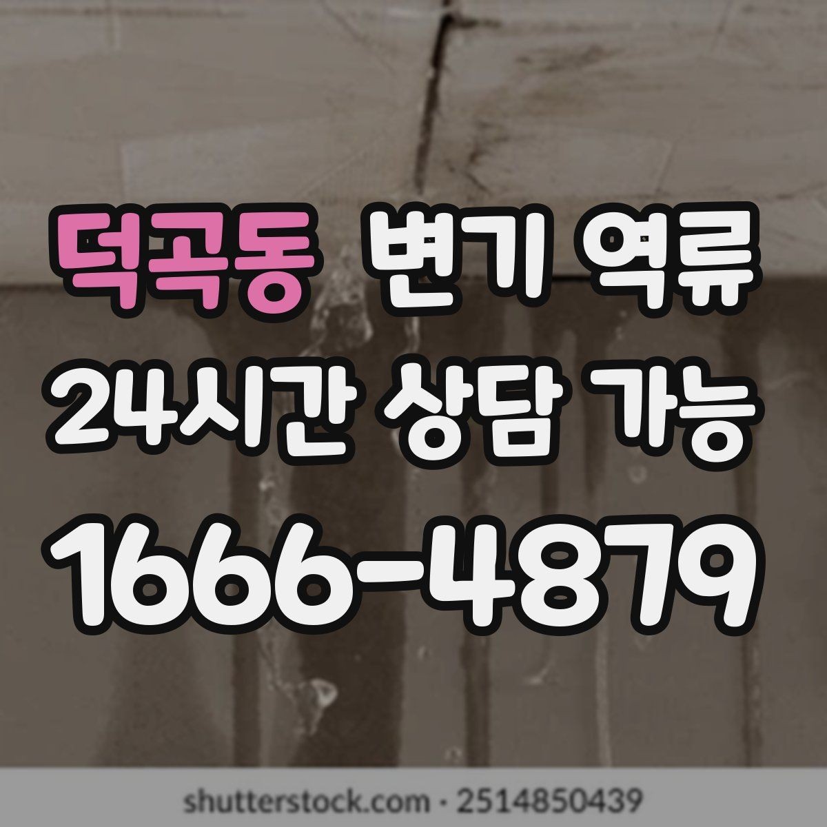덕곡동 변기 역류 변기 트랩수는 정상인데도 냄새가 나는 경우
