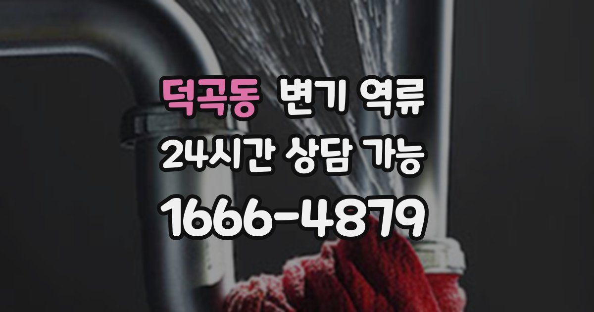 덕곡동 변기 역류