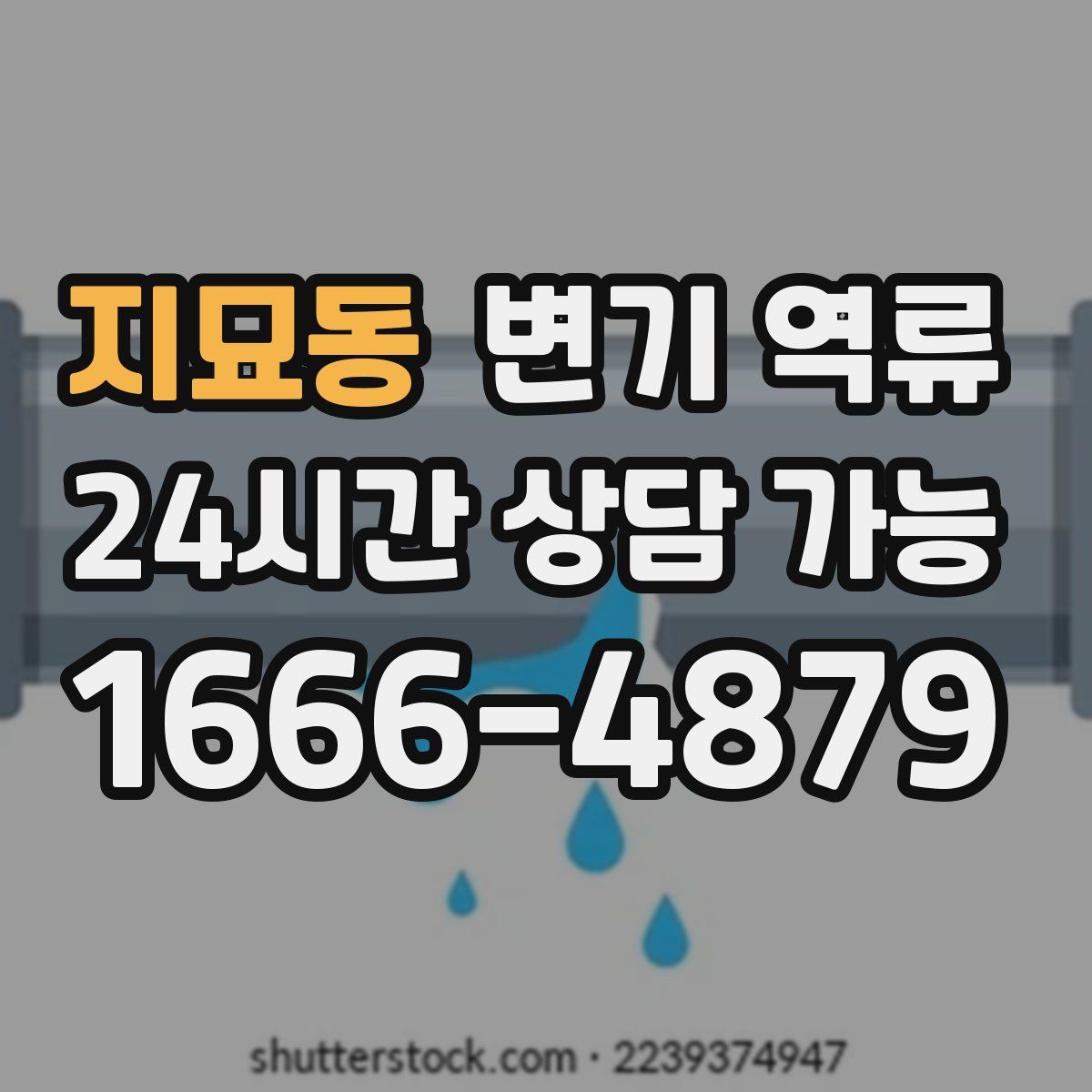 지묘동 변기 역류