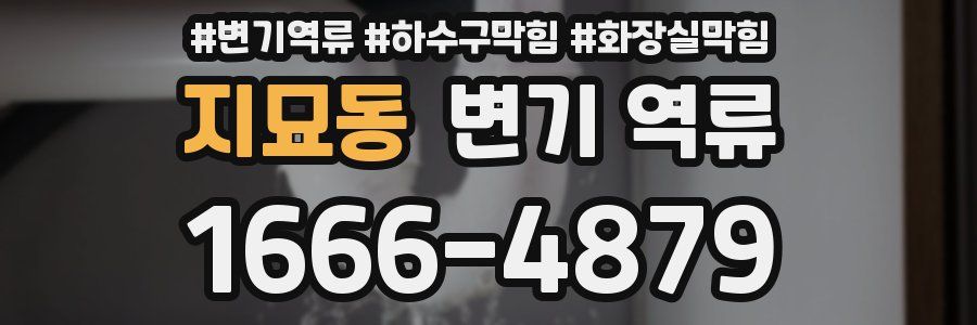 지묘동 변기 역류