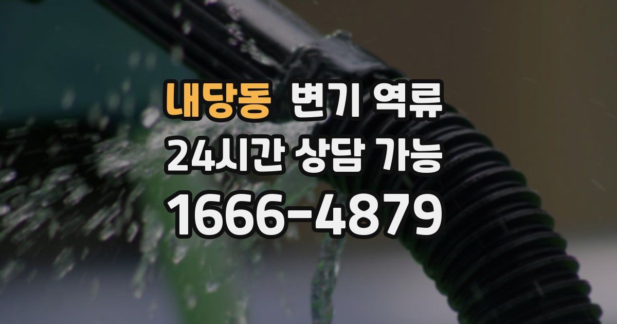 내당동 변기 역류