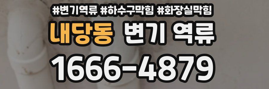 내당동 변기 역류