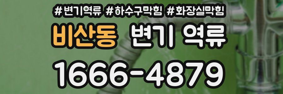 비산동 변기 역류