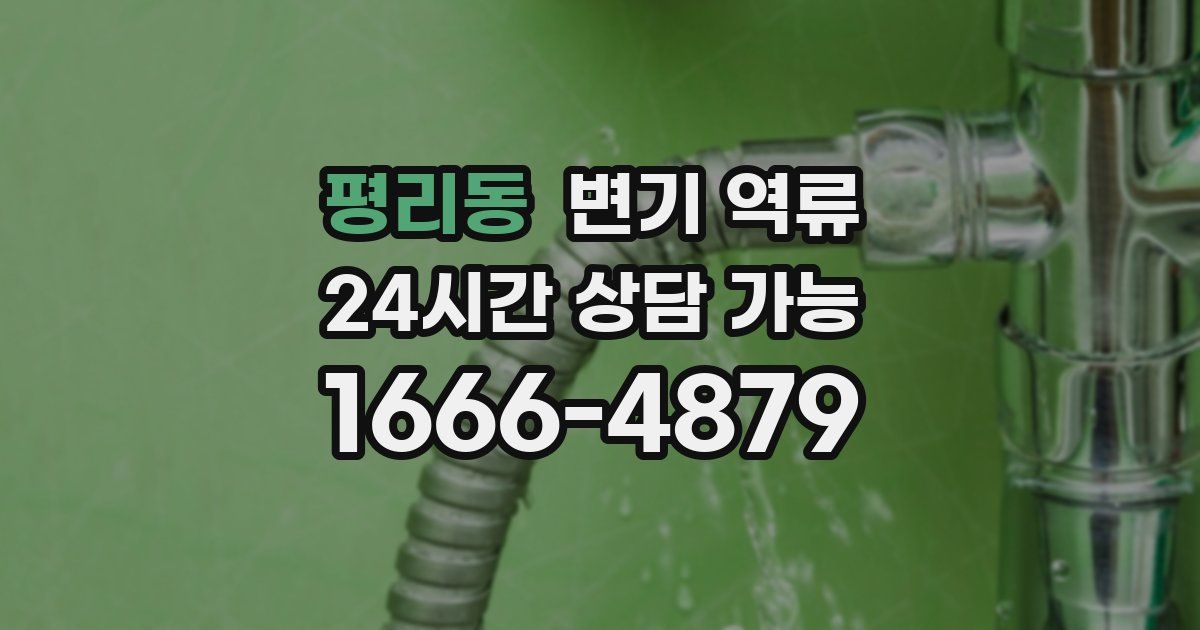 평리동 변기 역류