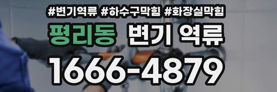 평리동 변기 역류