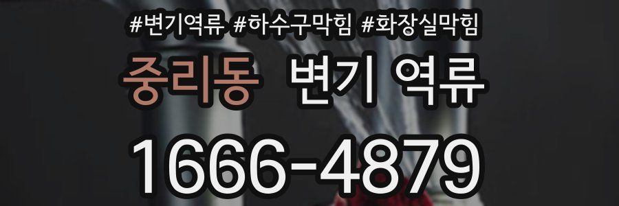 중리동 변기 역류