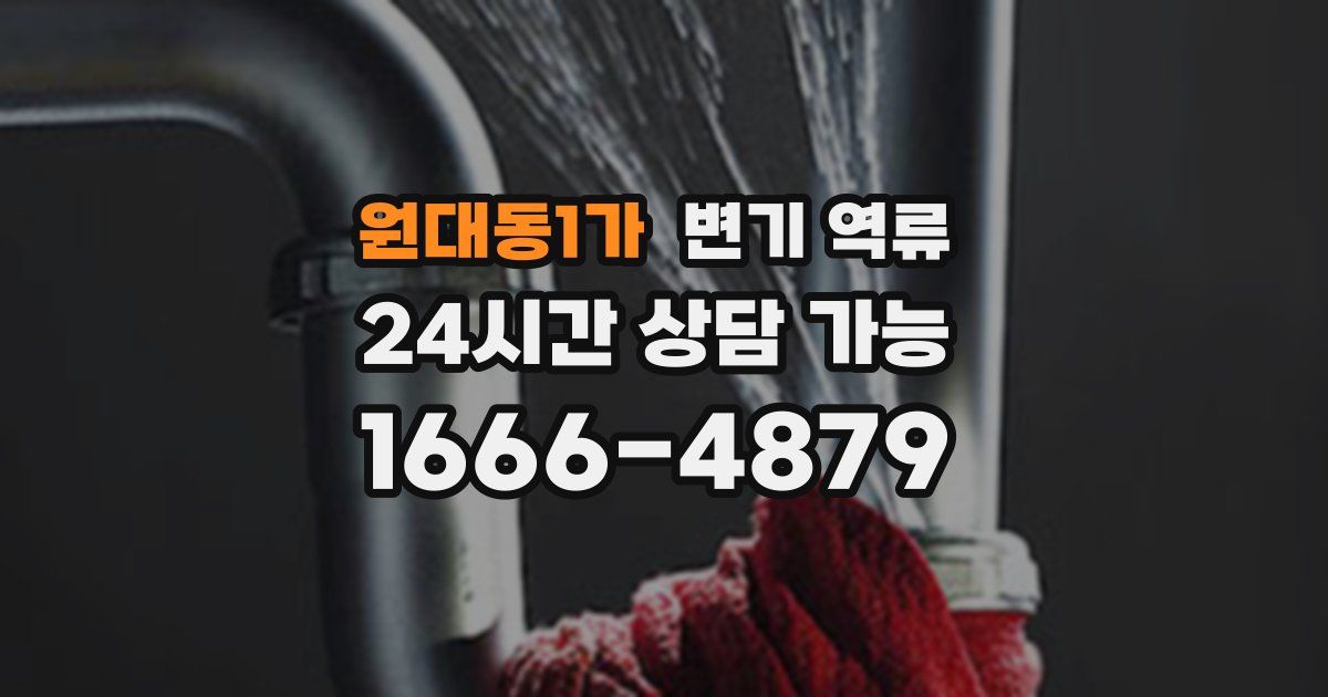 원대동1가 변기 역류