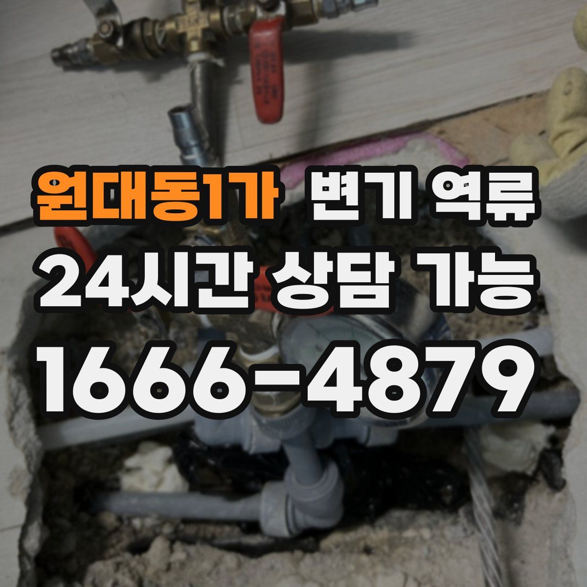 원대동1가 변기 역류