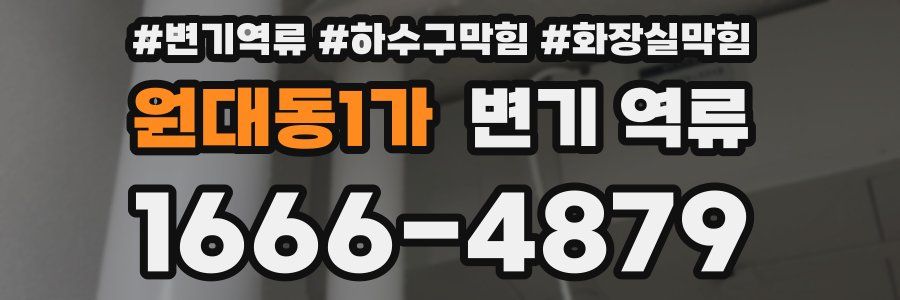 원대동1가 변기 역류