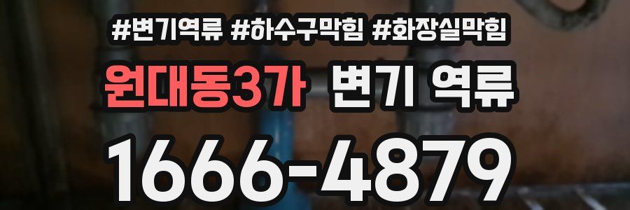 원대동3가 변기 역류