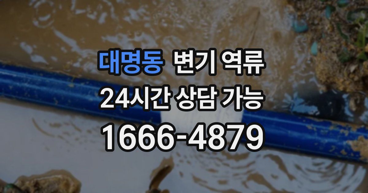 대명동 변기 역류