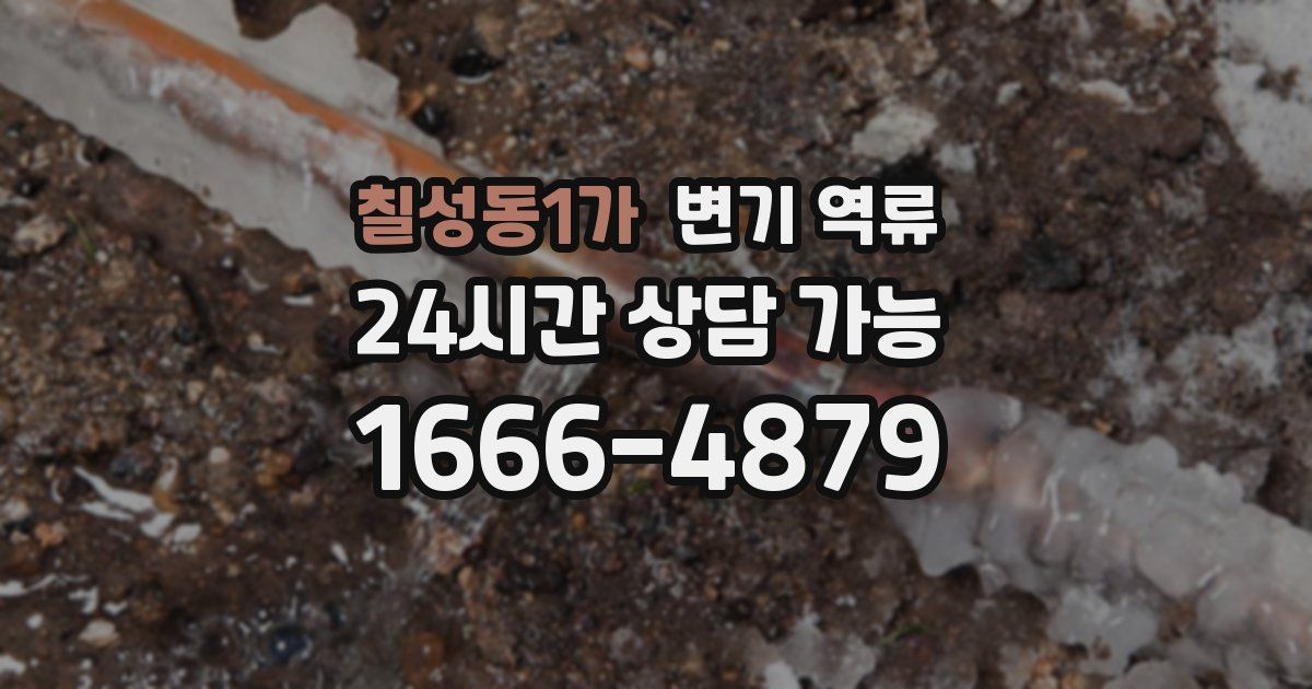 칠성동1가 변기 역류