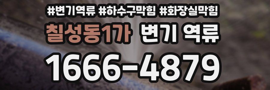 칠성동1가 변기 역류