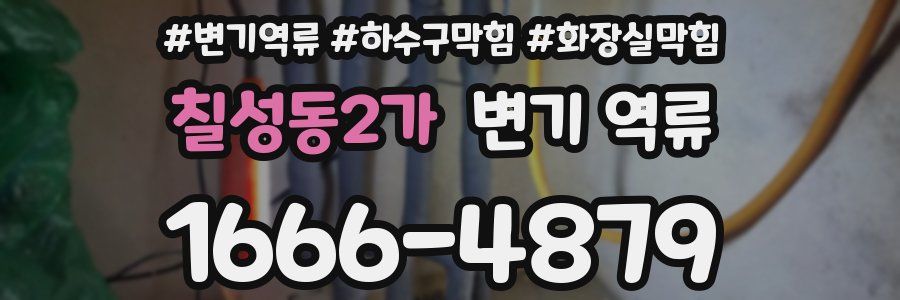 칠성동2가 변기 역류