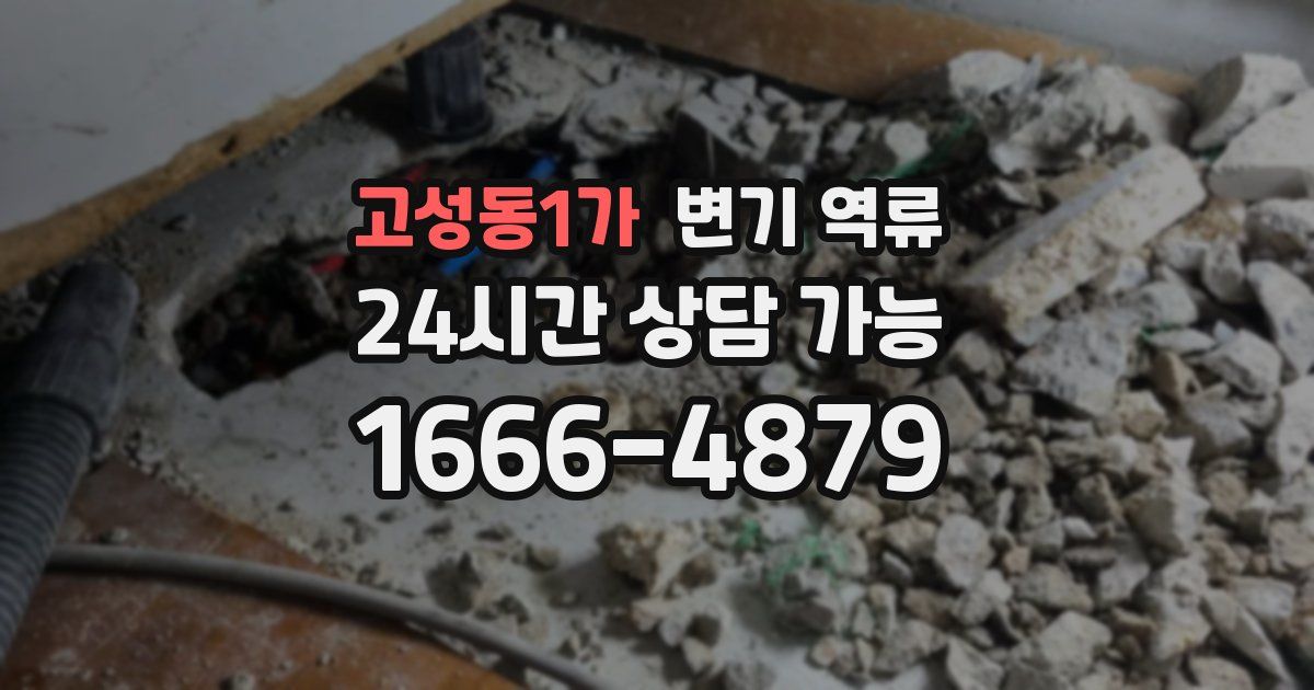 고성동1가 변기 역류