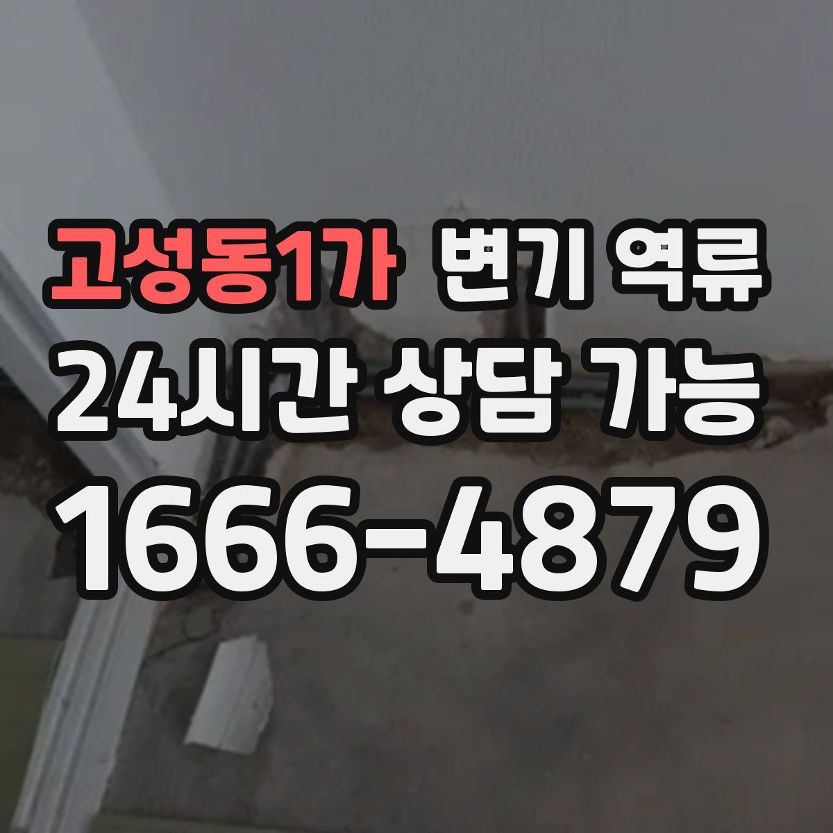 고성동1가 변기 역류