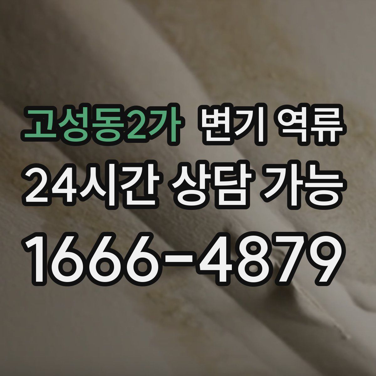 고성동2가 변기 역류