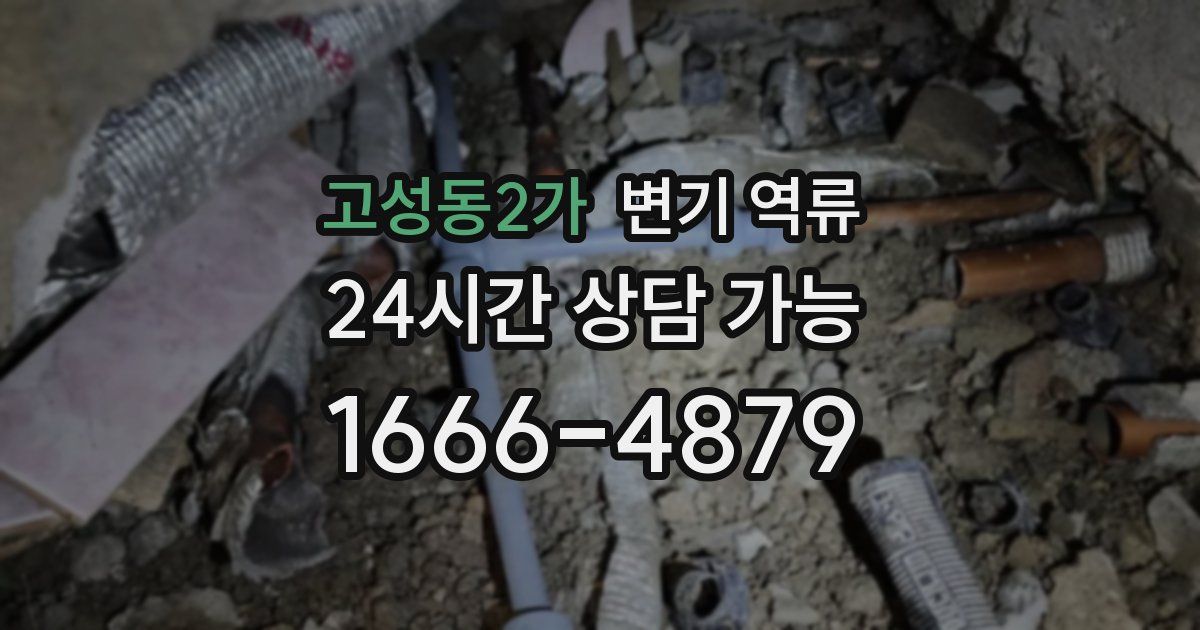 고성동2가 변기 역류