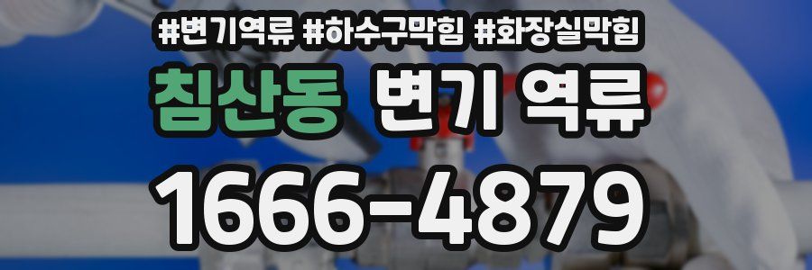 침산동 변기 역류