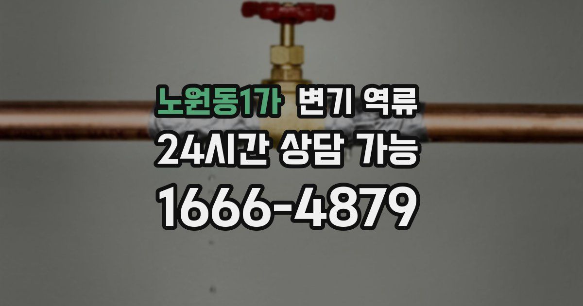 노원동1가 변기 역류