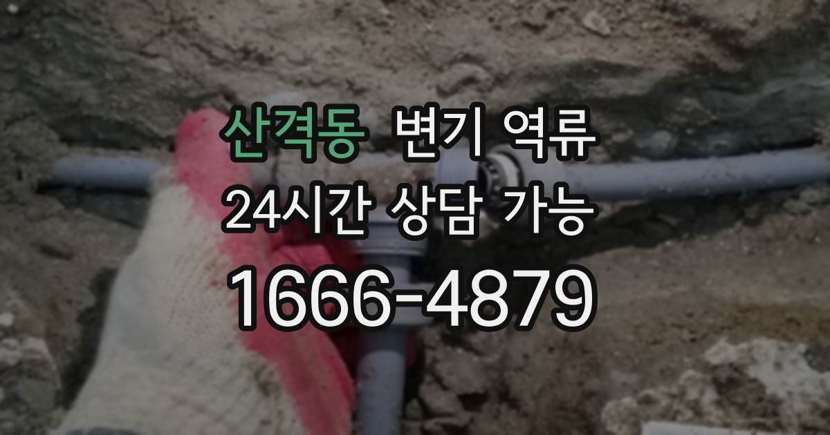 산격동 변기 역류