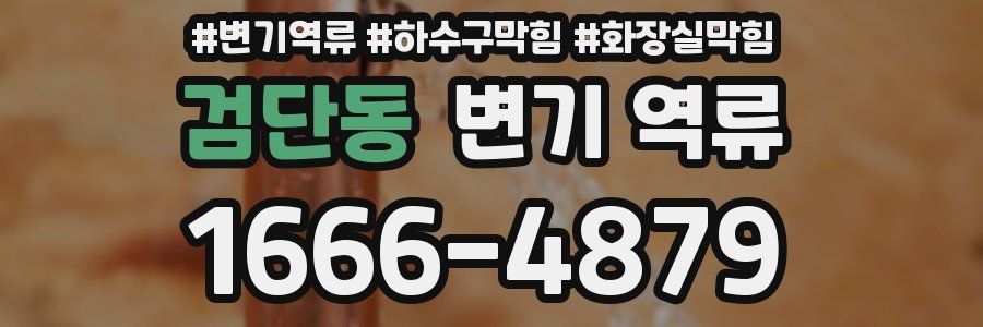 검단동 변기 역류