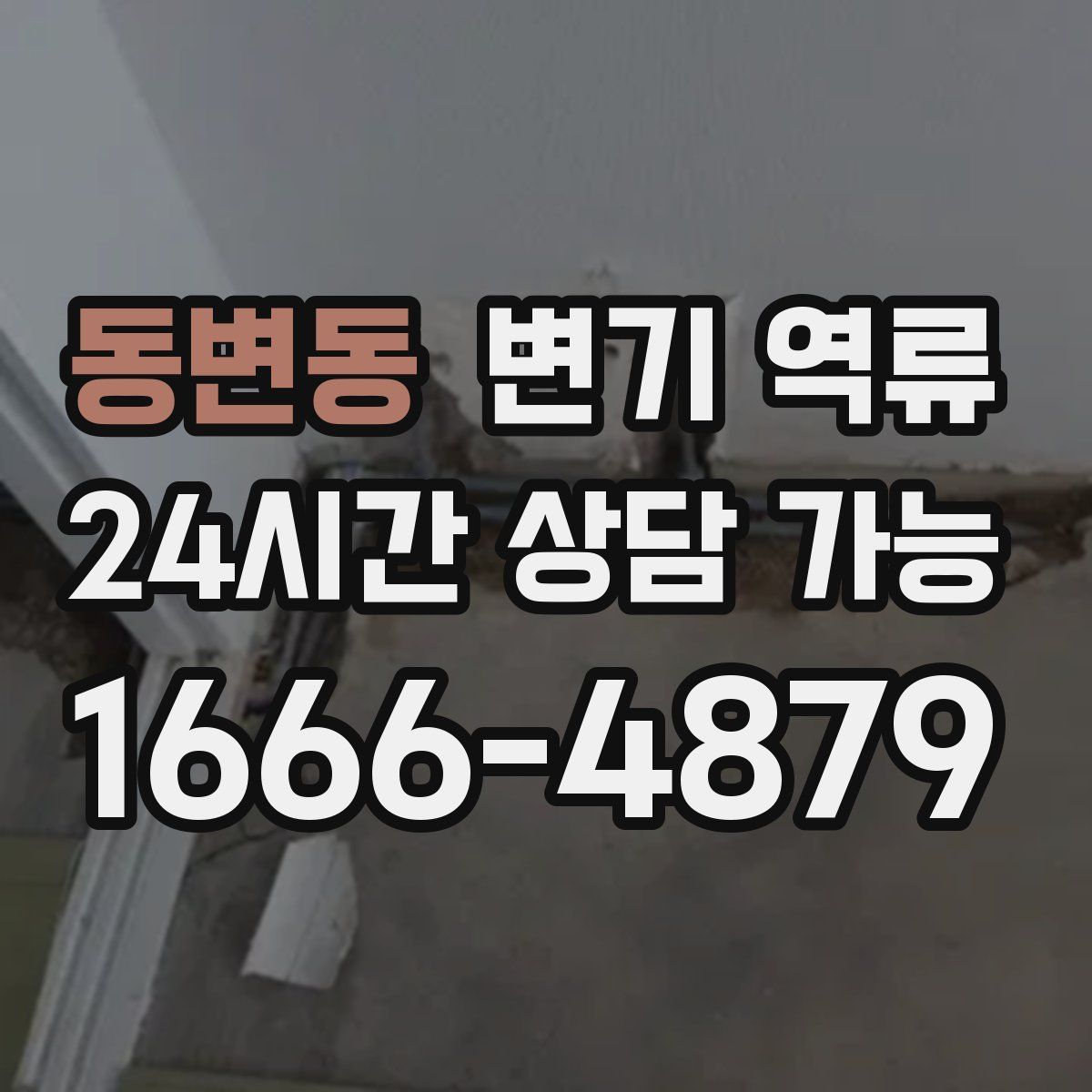 동변동 변기 역류