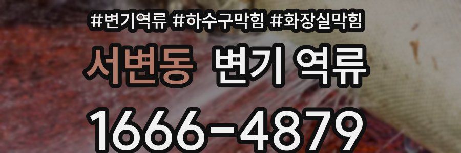 서변동 변기 역류