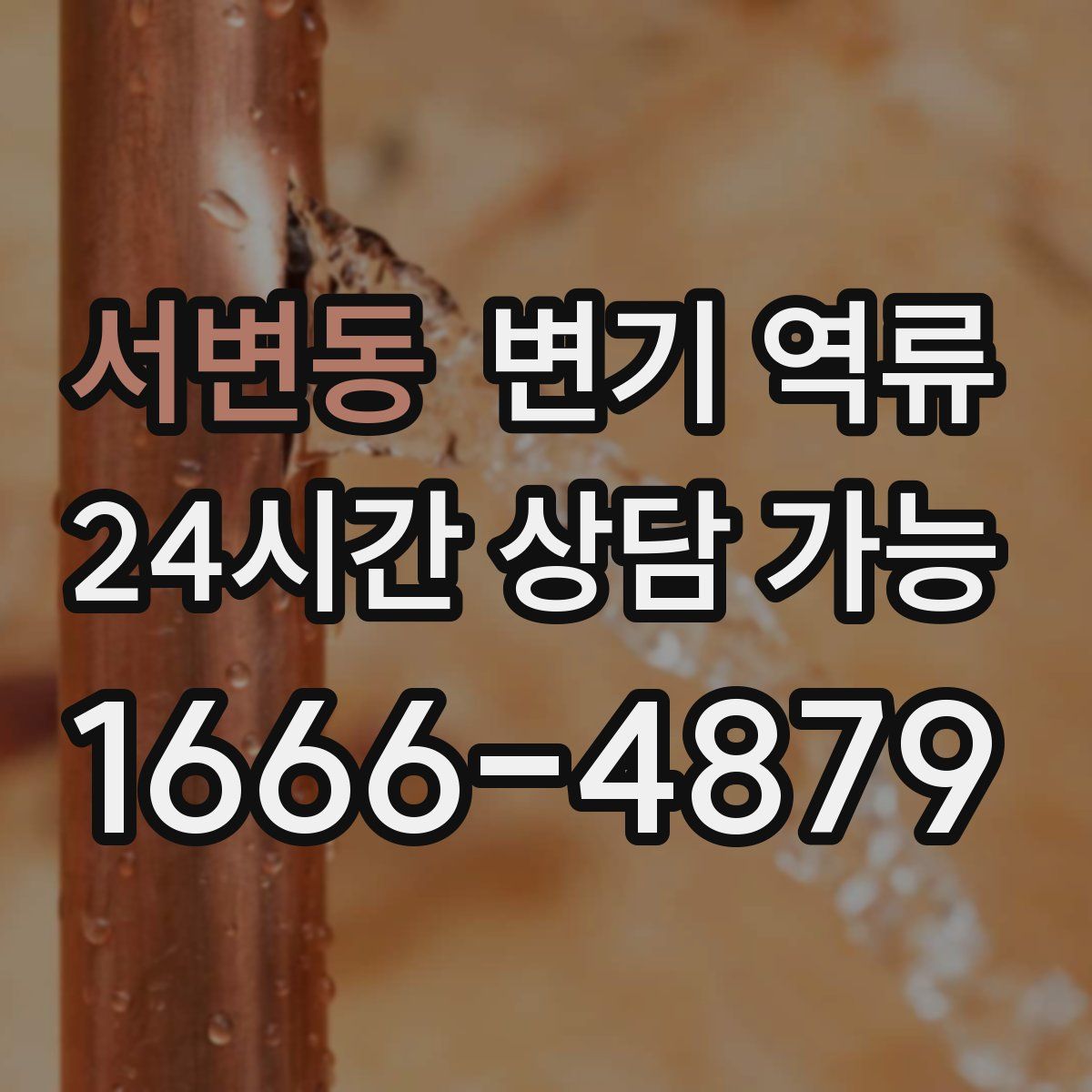 서변동 변기 역류