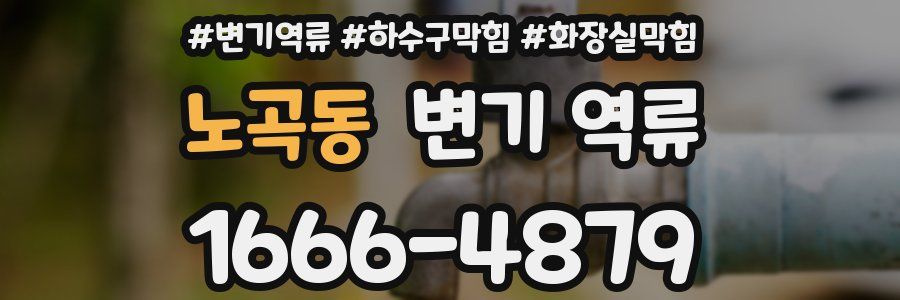 노곡동 변기 역류