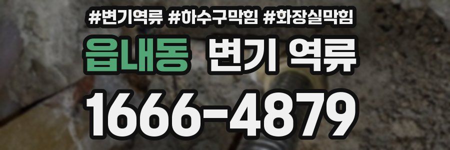 읍내동 변기 역류