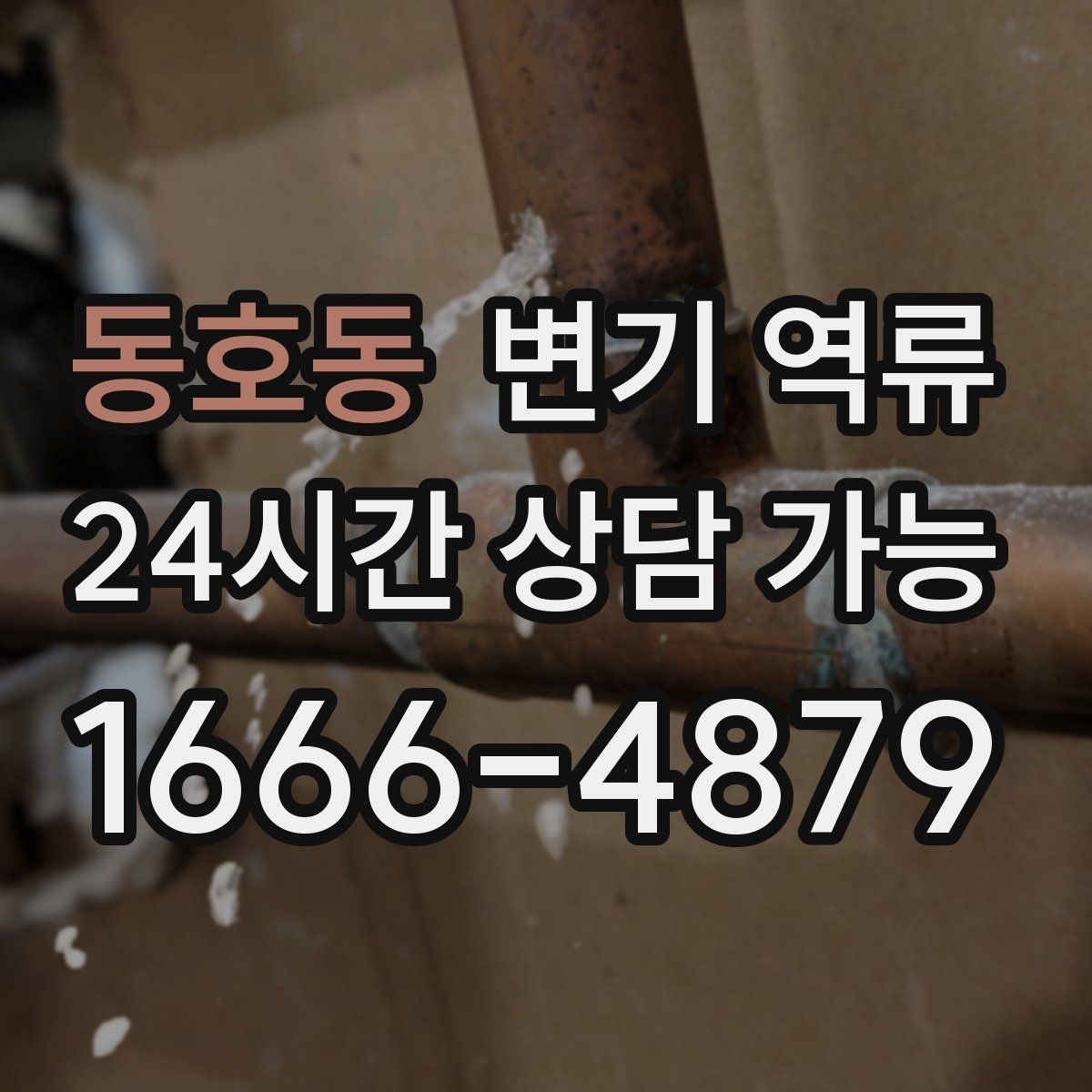 동호동 변기 역류 시 전기 콘센트 주변이 위험한 이유