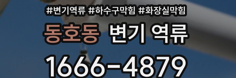 동호동 변기 역류