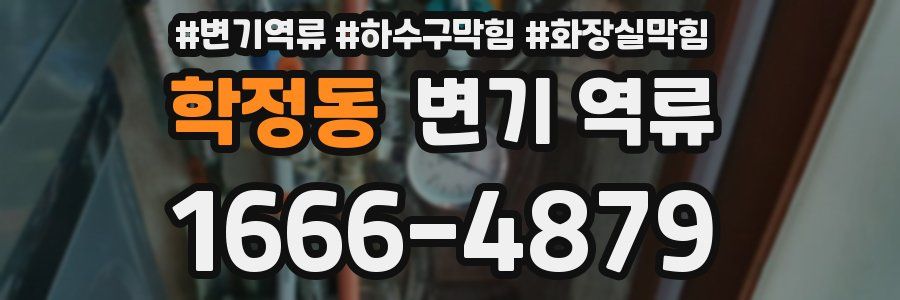 학정동 변기 역류