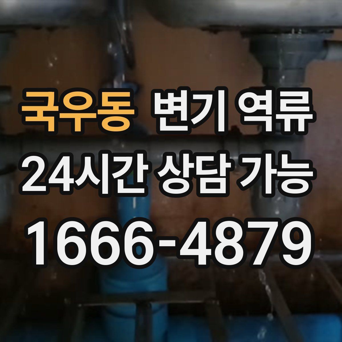 국우동 변기 역류 꾸르륵 소리와 함께 올라올 때 의심할 것