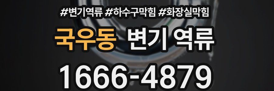 국우동 변기 역류