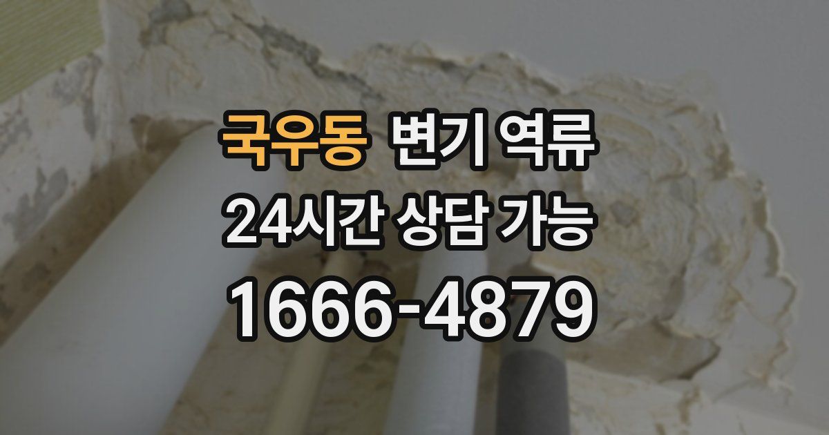 국우동 변기 역류