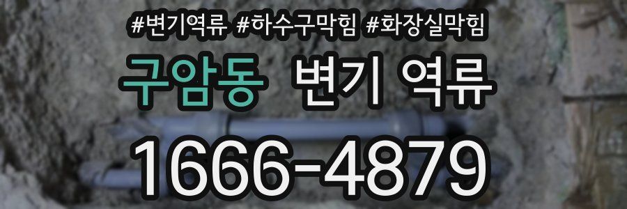 구암동 변기 역류